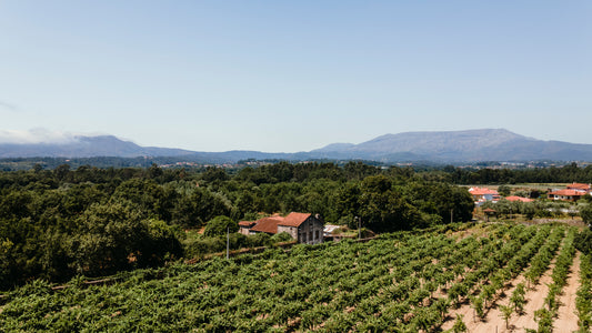 Vinho Verde