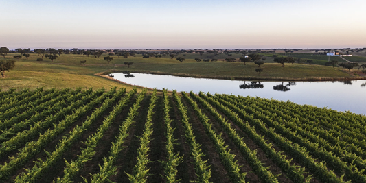 Alentejo