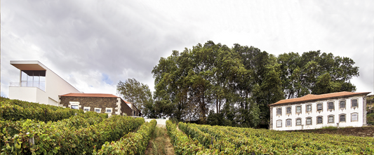 Aneto Wines