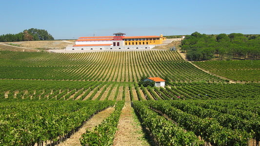 Bairrada