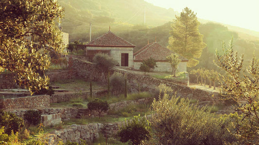 Quinta da Ferradosa