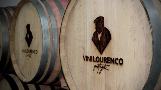 Vini Lourenço