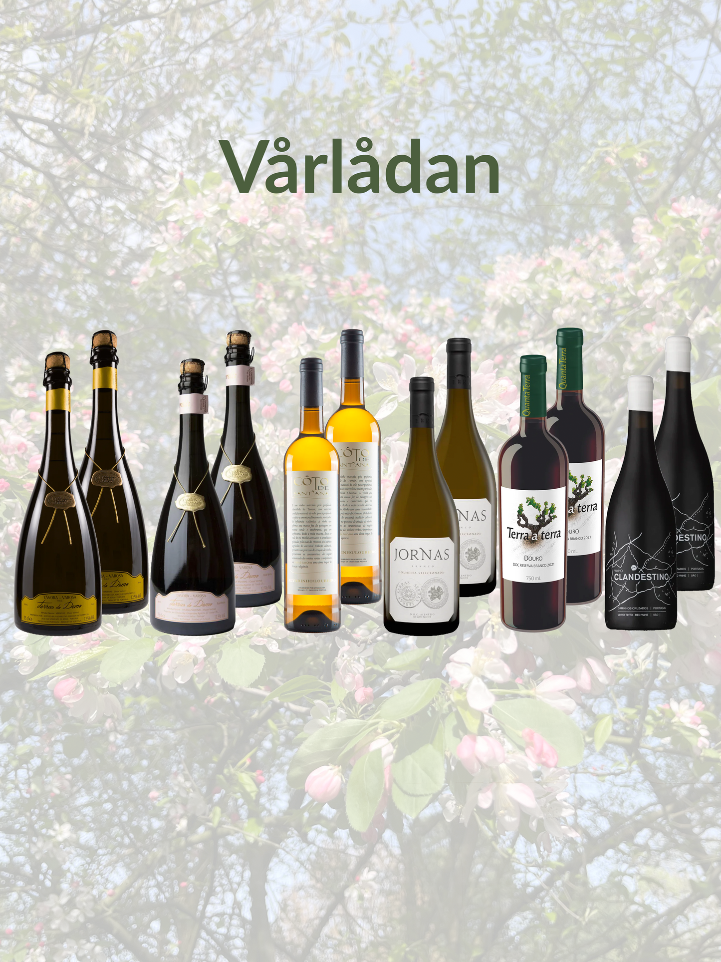 Vårlådan (12 st.)