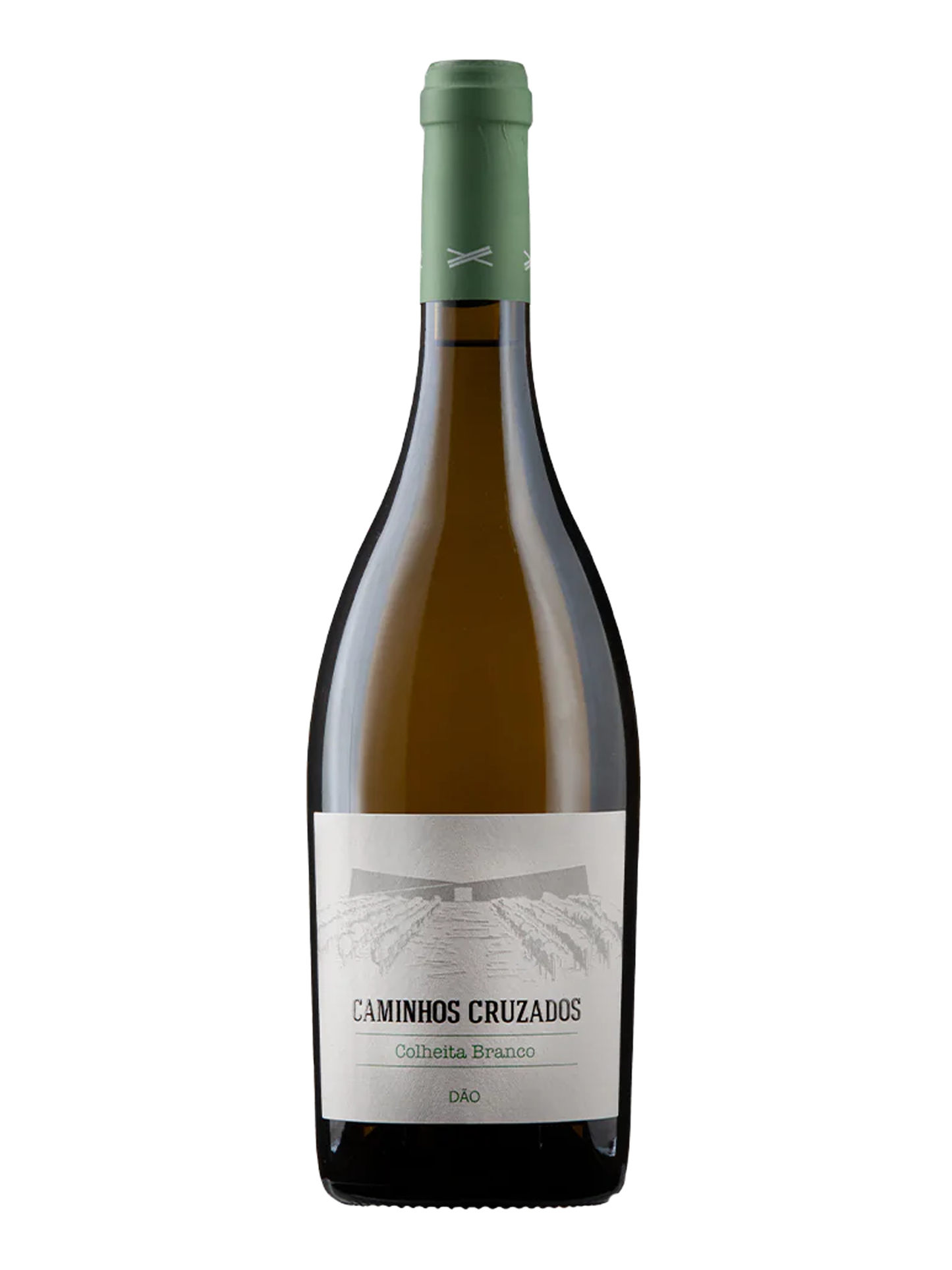 Caminhos Cruzados Vitt
