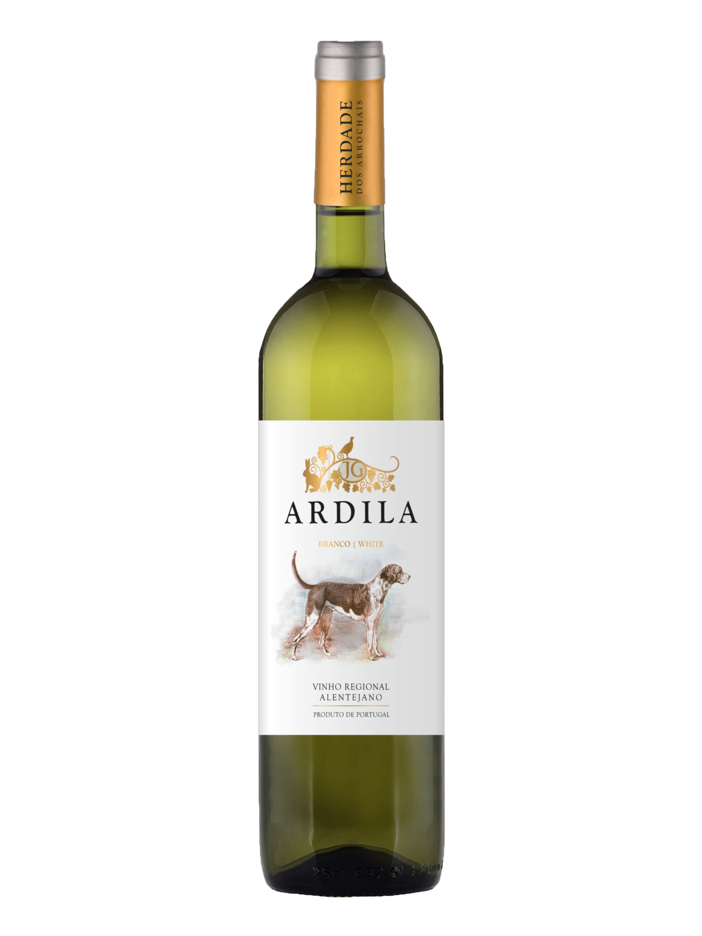 Ardila Vitt