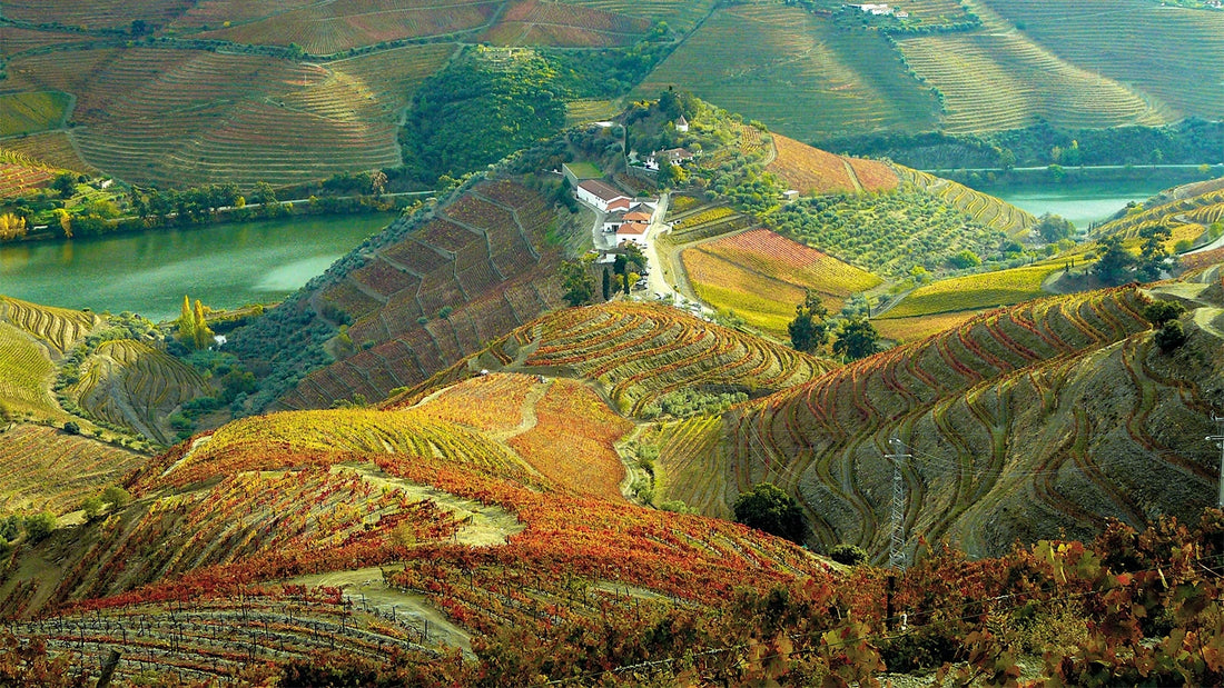 Wine Spectator om Portugal